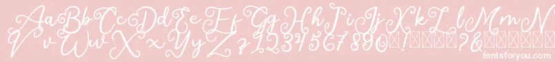 SalaheFree-Schriftart – Weiße Schriften auf rosa Hintergrund