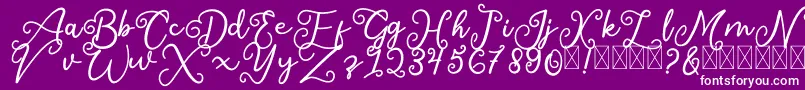 SalaheFree-fontti – valkoiset fontit violetilla taustalla