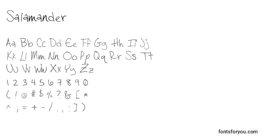 Czcionka Salamander (139477) – alfabet, cyfry, specjalne znaki