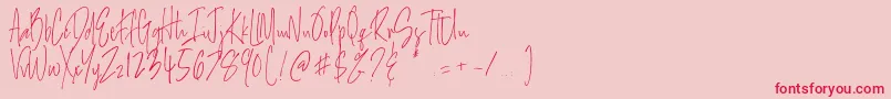 Salernitana Script Font – Red Fonts on Pink Background