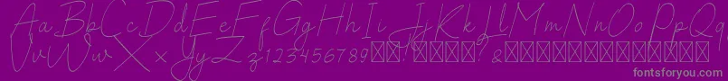 SalhenaFree-Schriftart – Graue Schriften auf violettem Hintergrund