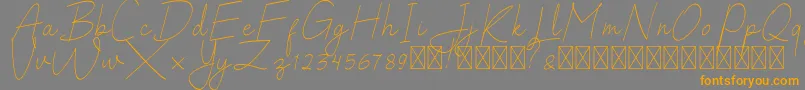 SalhenaFree Font – Orange Fonts on Gray Background