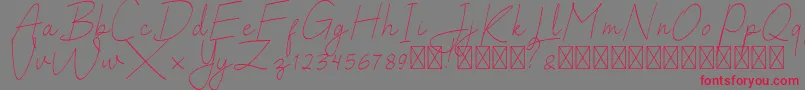 SalhenaFree Font – Red Fonts on Gray Background