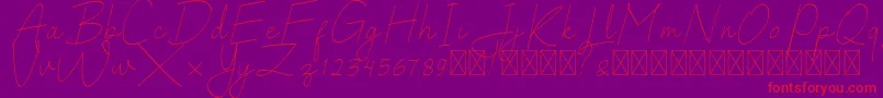 SalhenaFree Font – Red Fonts on Purple Background