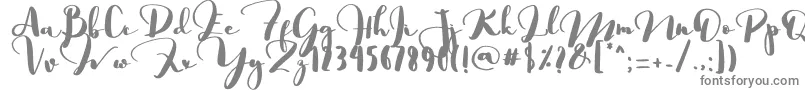 Saligra Font – Gray Fonts on White Background