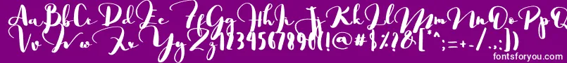 フォントSaligra – 紫の背景に白い文字