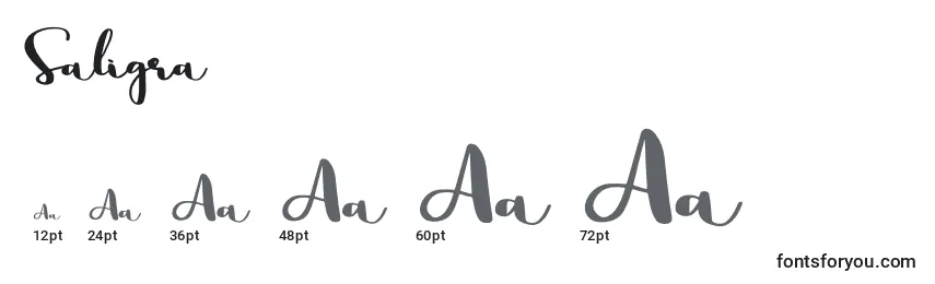 Saligra Font Sizes