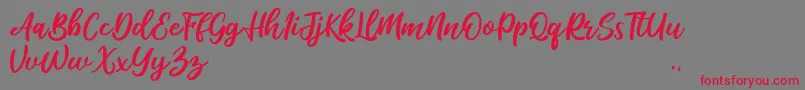 Salika Font – Red Fonts on Gray Background