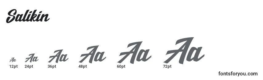 Salikin Font Sizes
