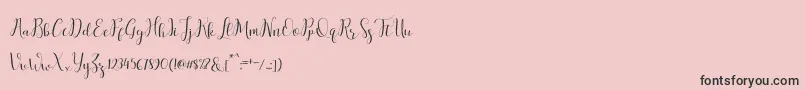 salitascript Font – Black Fonts on Pink Background