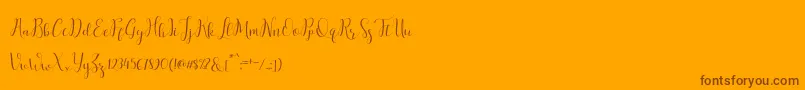salitascript Font – Brown Fonts on Orange Background