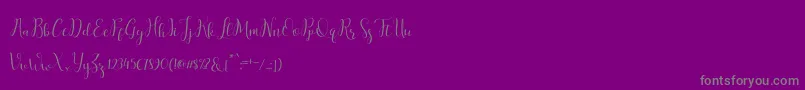 salitascript Font – Gray Fonts on Purple Background