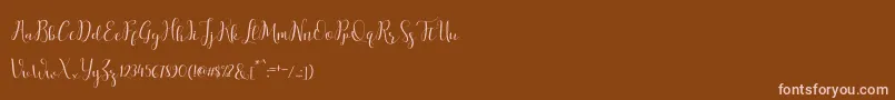 salitascript Font – Pink Fonts on Brown Background