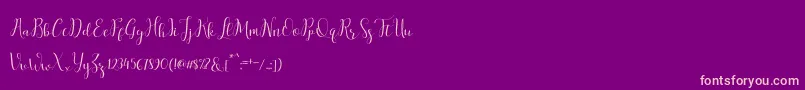 salitascript Font – Pink Fonts on Purple Background