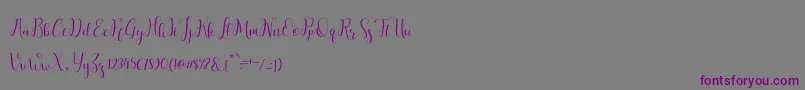 salitascript Font – Purple Fonts on Gray Background