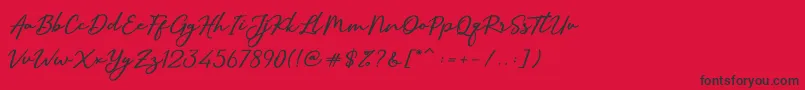 SallimSignature Font – Black Fonts on Red Background