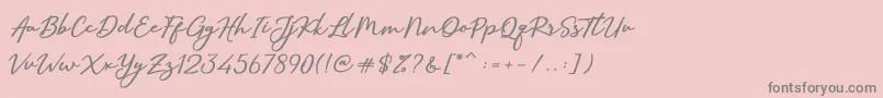 More about SallimSignature Font SallimSignature Font – Gray Fonts on Pink Background
