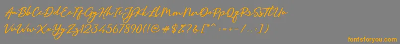 SallimSignature-Schriftart – Orangefarbene Schriften auf grauem Hintergrund