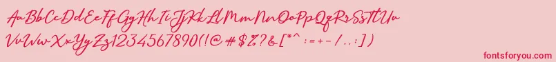 SallimSignature Font – Red Fonts on Pink Background