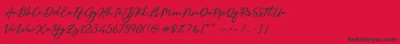 SallimSignature-Schriftart – Schwarze Schriften auf rotem Hintergrund