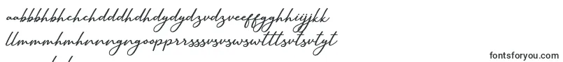 Шрифт SallimSignature – шона шрифты