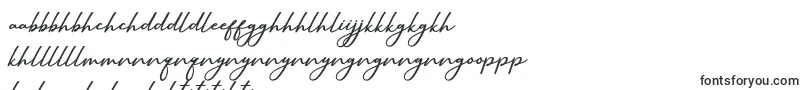 Шрифт SallimSignature – сесото шрифты
