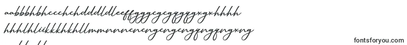 SallimSignature Font – Zulu Fonts