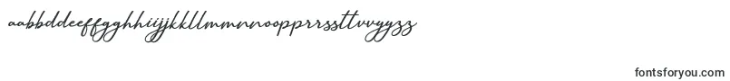 Шрифт SallimSignature – малагасийские шрифты