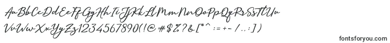 Шрифт SallimSignature – надписи красивыми шрифтами