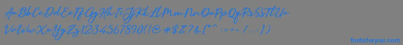 SallimSignature-Schriftart – Blaue Schriften auf grauem Hintergrund