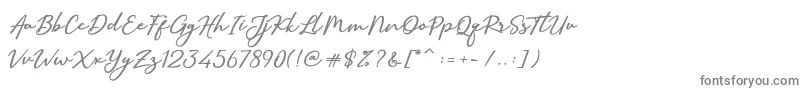 フォントSallimSignature – 白い背景に灰色の文字