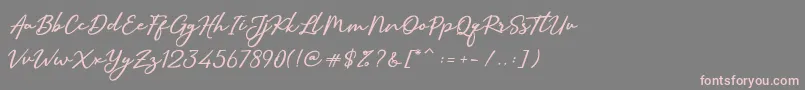 フォントSallimSignature – 灰色の背景にピンクのフォント