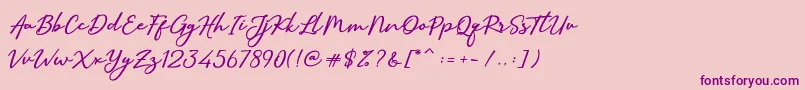 SallimSignature Font – Purple Fonts on Pink Background