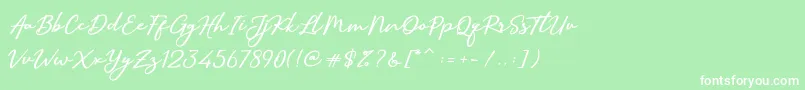 SallimSignature Font – White Fonts on Green Background