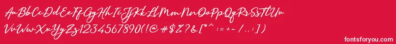 SallimSignature Font – White Fonts on Red Background