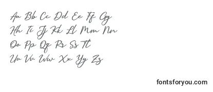 SallimSignature Font