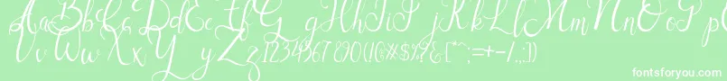 Sallisa Font – White Fonts on Green Background