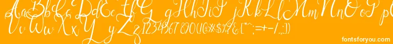 Sallisa Font – White Fonts on Orange Background