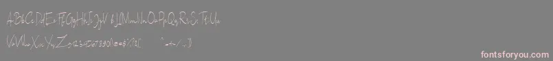 フォントSallita Free Version – 灰色の背景にピンクのフォント