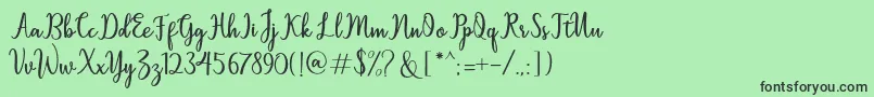 フォントSallita – 緑の背景に黒い文字