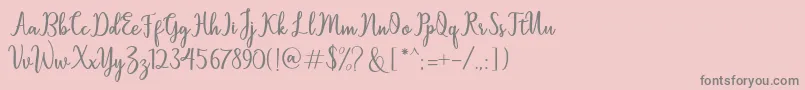 Sallita Font – Gray Fonts on Pink Background
