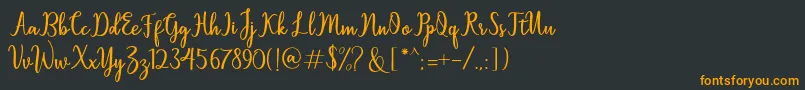 Sallita Font – Orange Fonts on Black Background