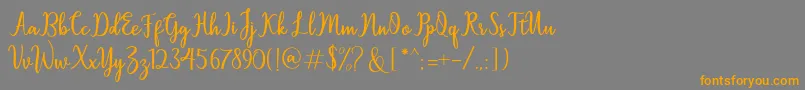 Sallita Font – Orange Fonts on Gray Background