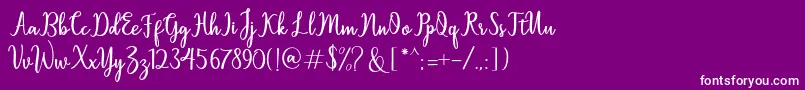 Sallita Font – White Fonts on Purple Background