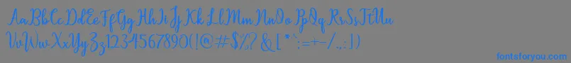 フォントSallita – 灰色の背景に青い文字