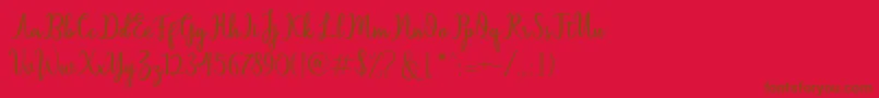 Sallita Font – Brown Fonts on Red Background