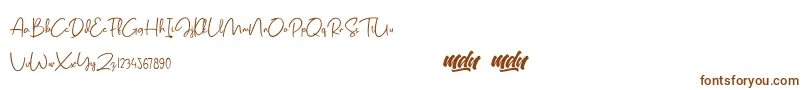 Шрифт Salmon Script   FREE PERSONAL USE – коричневые шрифты на белом фоне