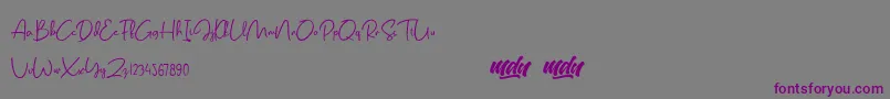 フォントSalmon Script   FREE PERSONAL USE – 紫色のフォント、灰色の背景