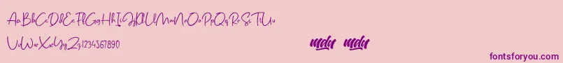 Salmon Script   FREE PERSONAL USE-Schriftart – Violette Schriften auf rosa Hintergrund