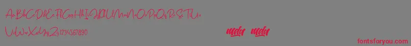 Salmon Script   FREE PERSONAL USE-Schriftart – Rote Schriften auf grauem Hintergrund